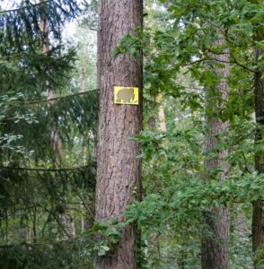 Hiddeser Bent & Donoper Teich wanderrattesblog.de