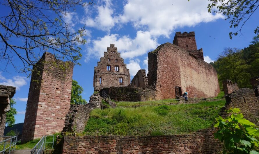 Burg Freudenberg & der Main bei Bürgstadt