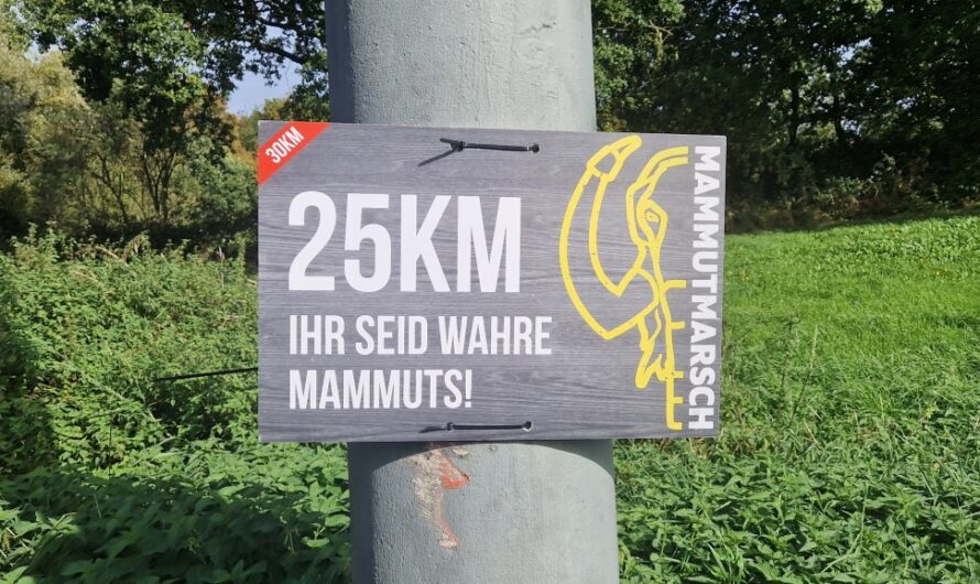 Mammutmarsch Dortmund 2023 (30km)