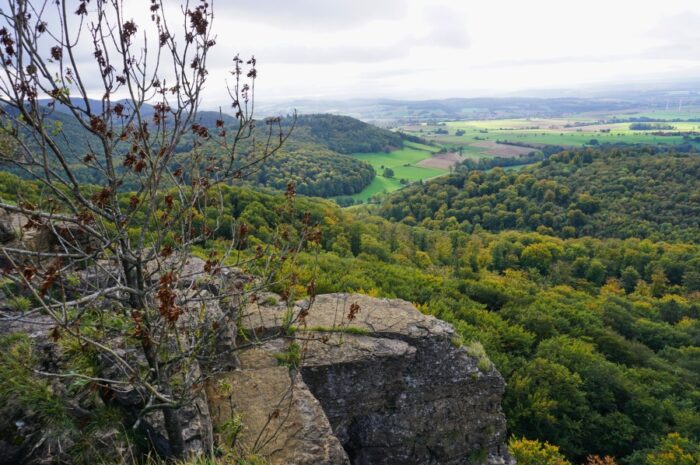 Abenteuertour Hohenstein & Süntelturm ab Hessisch-Oldendorf