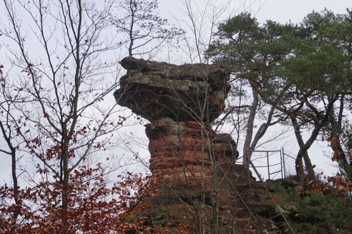 Bei den Elwetritschen im Dahner Felsenland