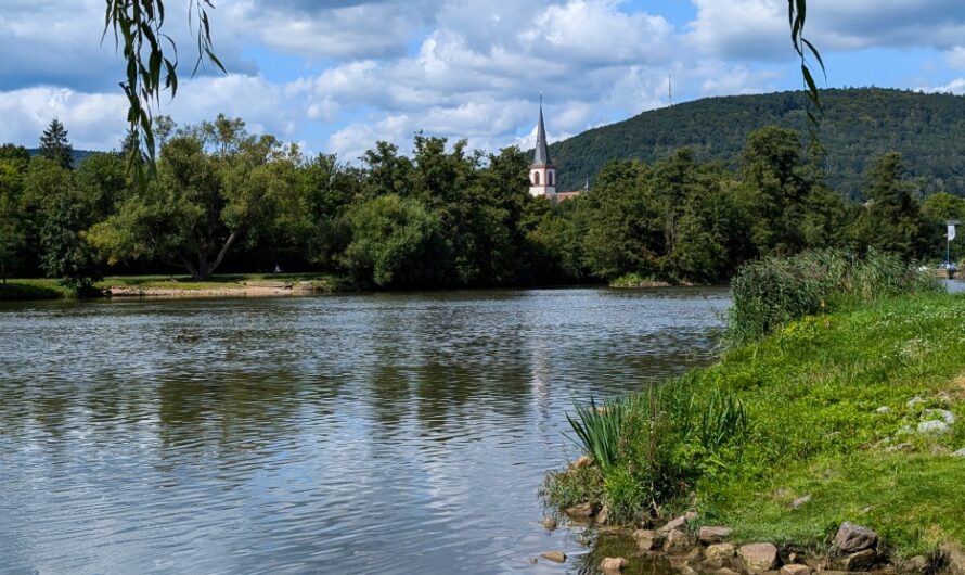 Die Auenlandschaft bei Lohr am Main