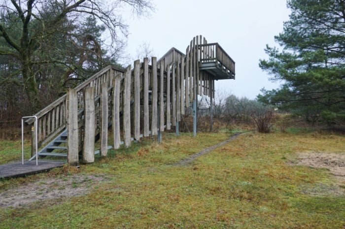 In der Senne beim Augustdorfer Dünenfeld & dem Ölbachtal