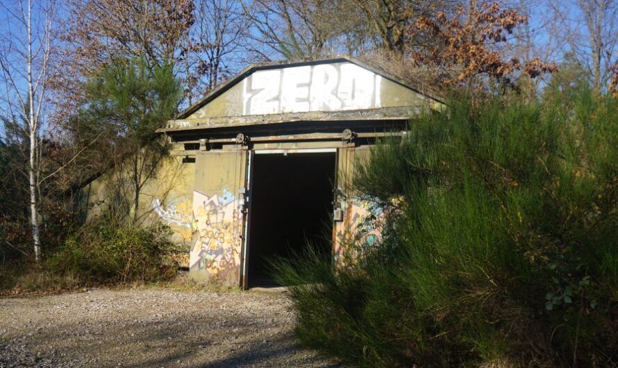 Hello again! – Zurück bei den Wildpferden von Aschaffenburg