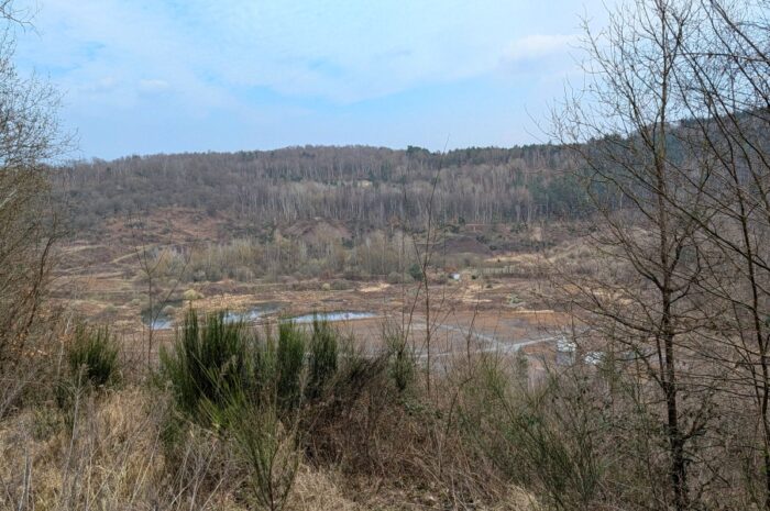 Dem Urpferdchen auf der Spur in der Grube Messel