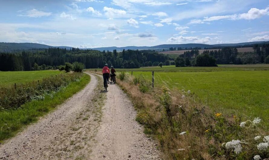 Mit dem Gravelbike im Hunsrück – Von der Wildenburg nach Allenbach