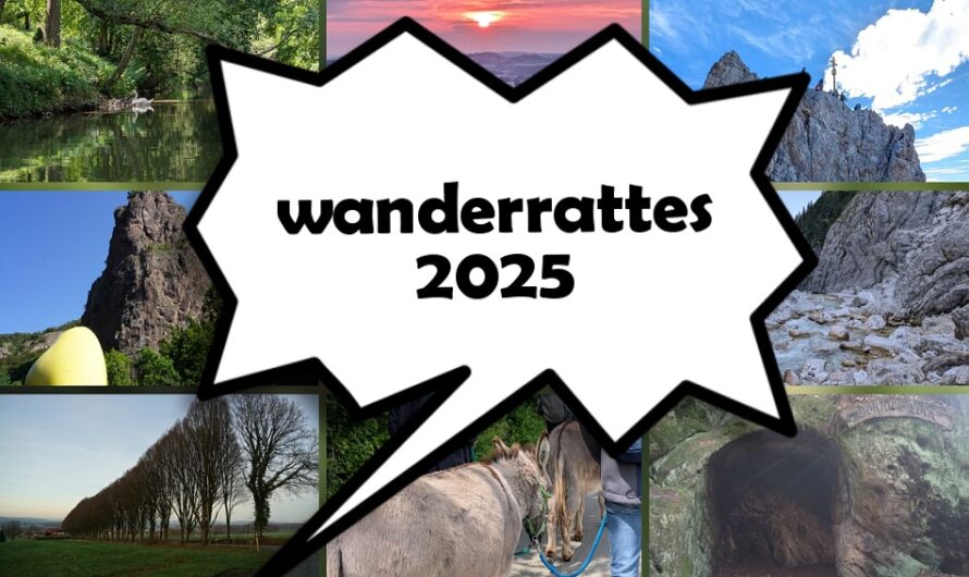 Jahresrückblick 2025 & ein erster Blick auf 2026