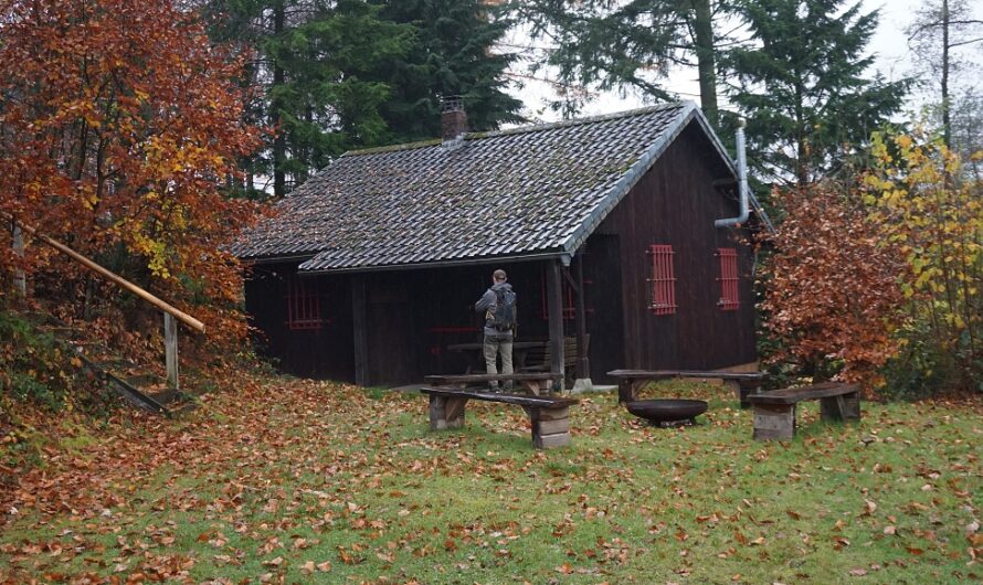 Im verbotenen Wald – Regenrunde mit Abenteuerfaktor bei Büren