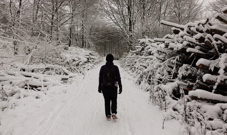 Ein Wiedersehen ohne Wiedererkennen – Der Deister im Winterkleid