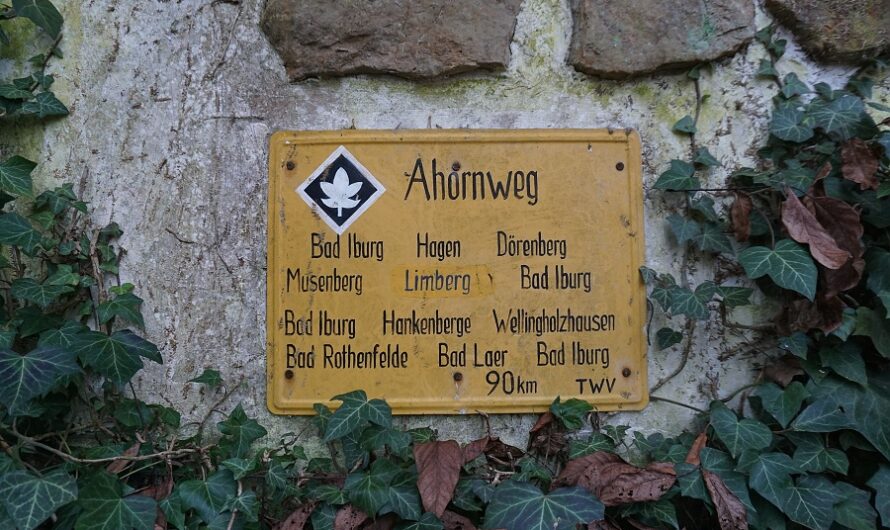 Ahornweg Etappe 1 – Von Hilter am Teutoburger Wald nach Wellingholzhausen