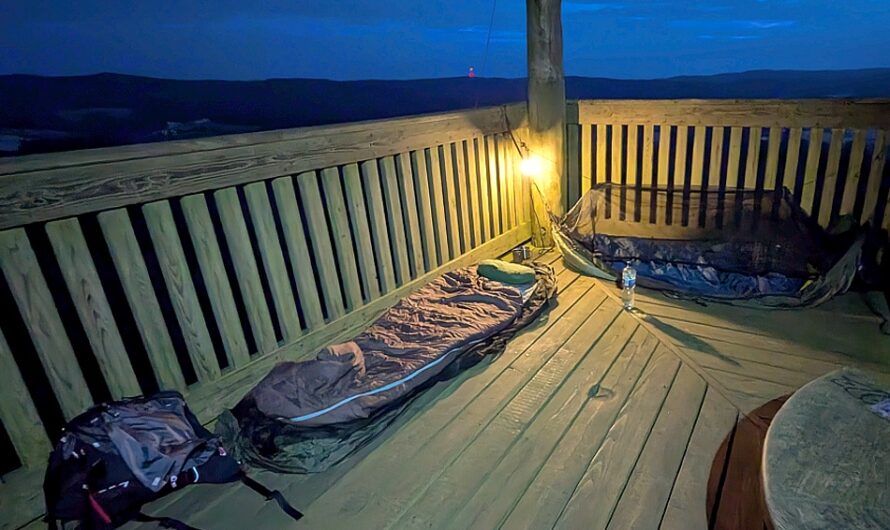 Eine Nacht über den Baumwipfeln – Luftiges Biwak im Wald