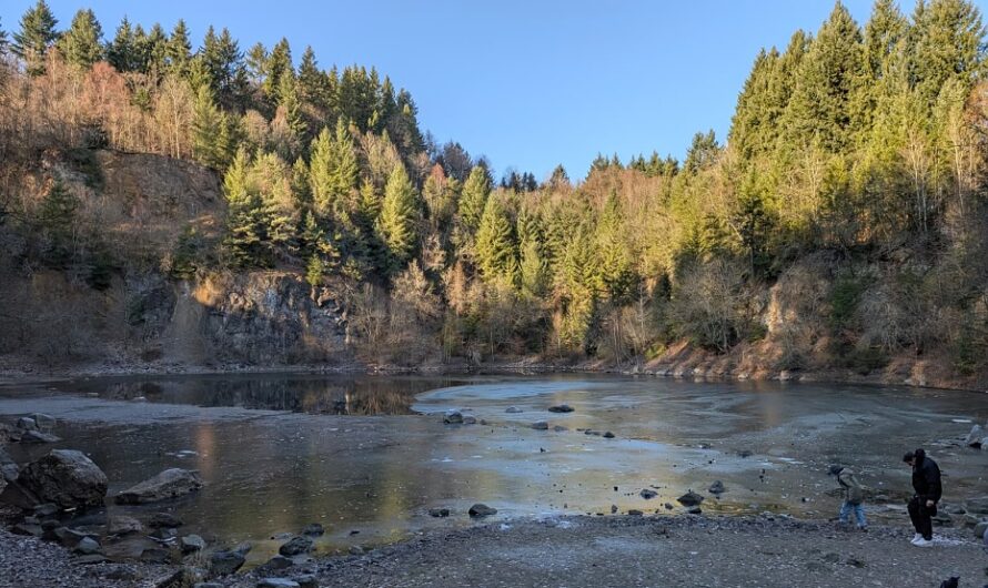 Miau! – Im Odenwald ganz oben auf dem Katzenbuckel