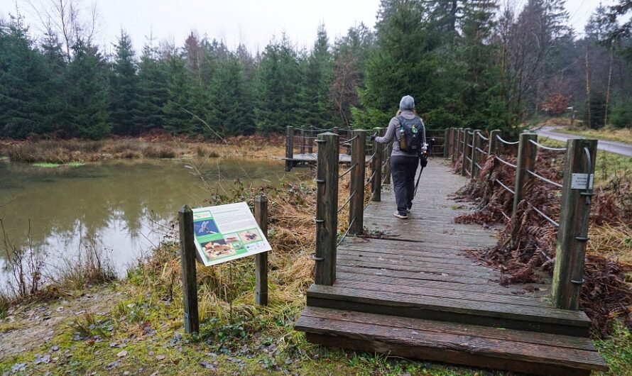 Wird das unsere erste Trekkingtour 2026? – Dem Lipperlandweg auf der Spur