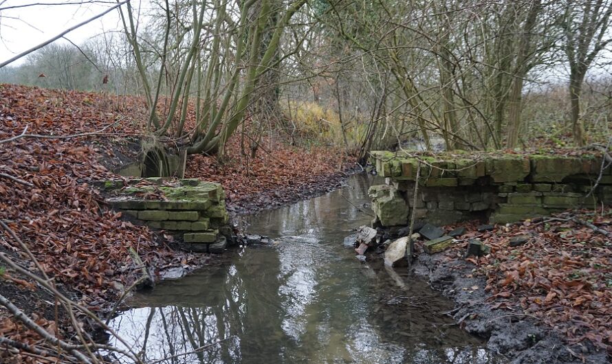 Unheimlich freundlich! – Im Geisterholz bei Oelde