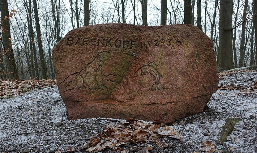 Warm-up Wanderjahr 2026 – Der Bärenkopf im Kalletal