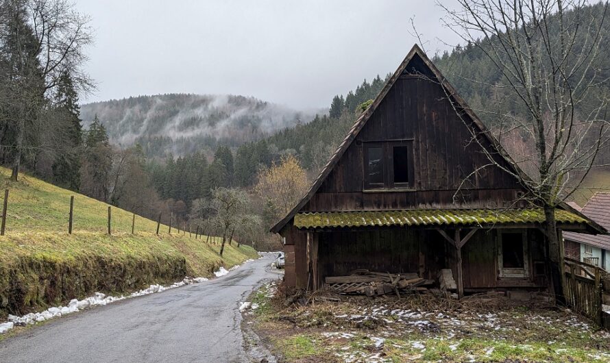 Viele Wege führen nach Neckargerach – Dem Neckarsteig in Schnippchen schlagen