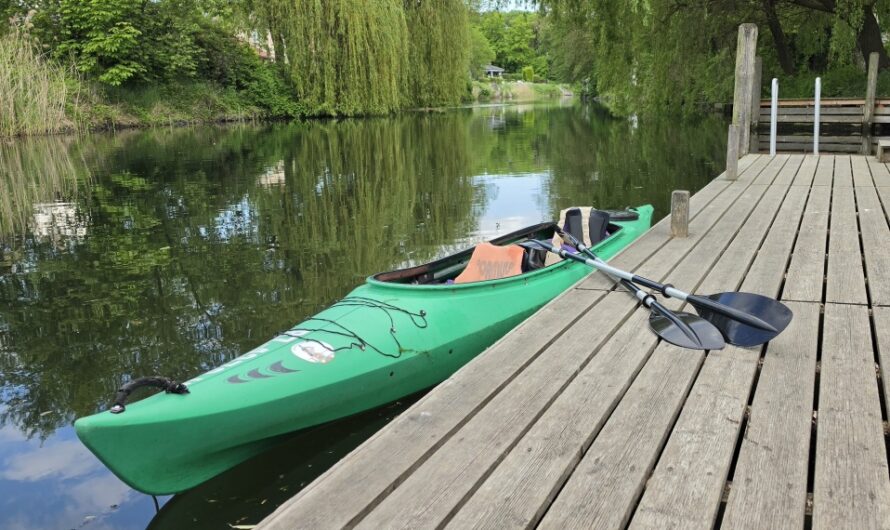 Auge in Auge mit dem Schwan! – Kajaktour auf der Elde