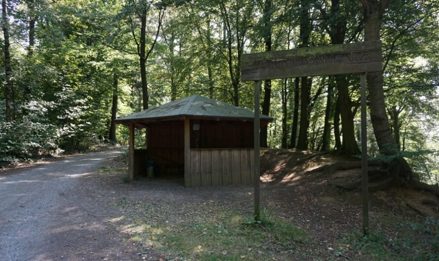 Weserberglandweg Etappe 12 – Berge, Burg &  Bushaltestellendrama