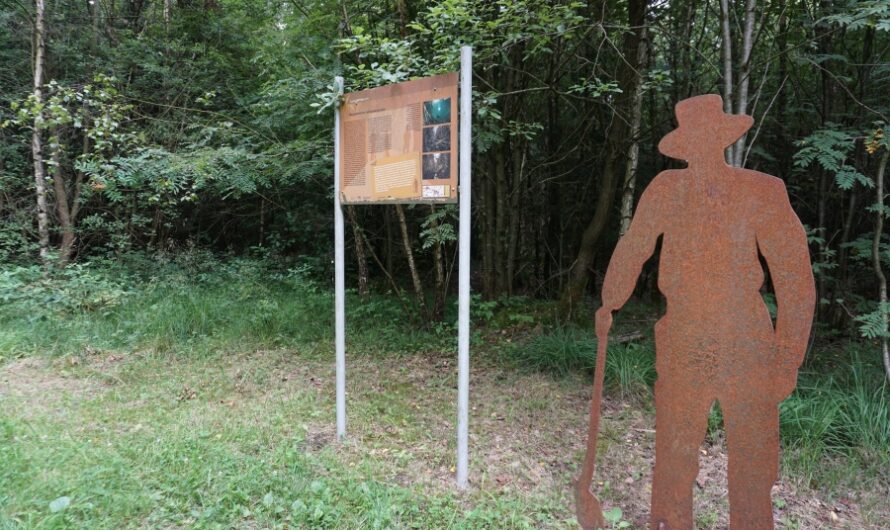 Wilderer Wanderweg – Im Fadenkreuz der Natur